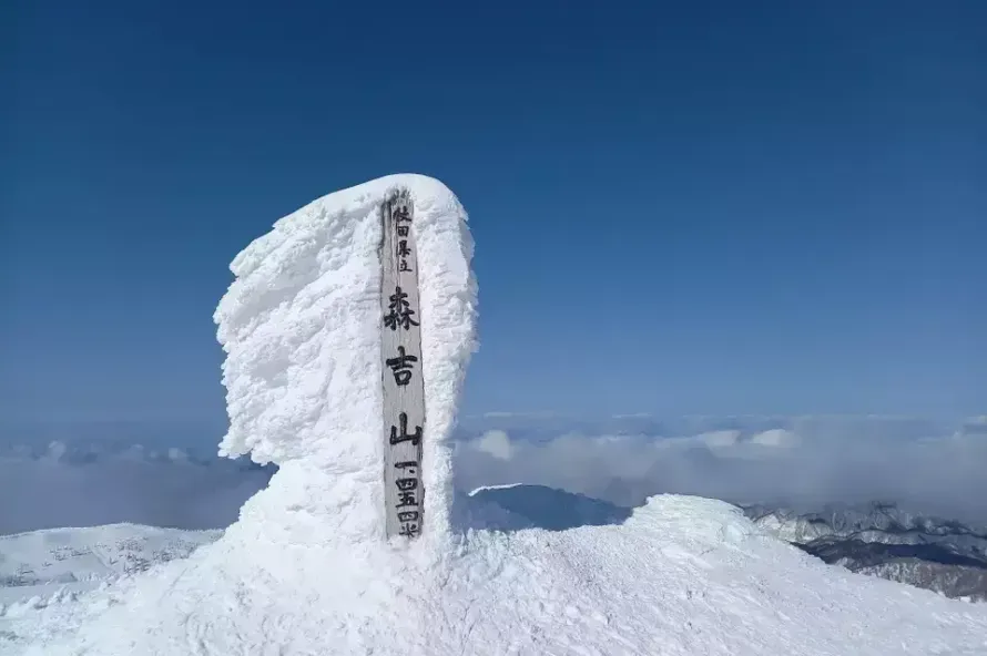 【森吉山】可憐な花々から冬のモンスターまで！難易度別登山ルートと登山口アクセス・各種情報をご紹介