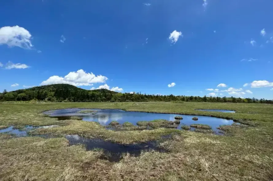 【鬼怒沼山登山】天空湿原と関東最後の秘湯奥鬼怒四湯へようこそ｜鬼怒沼山の難易度別登山ルートとおすすめスポットをご紹介