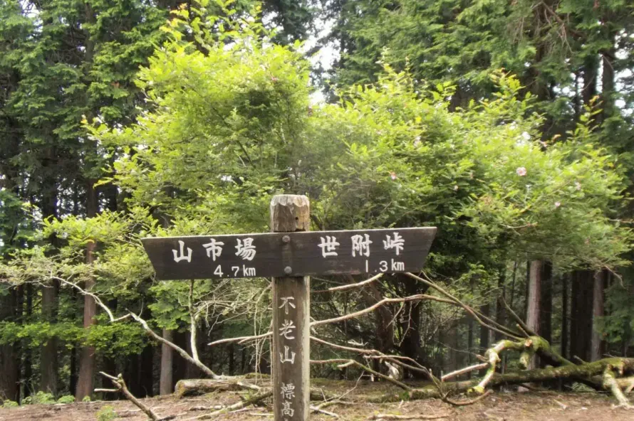【日帰り登山】サンショウバラの咲く西丹沢の静かな秘境！不老山の難易度別ルート紹介
