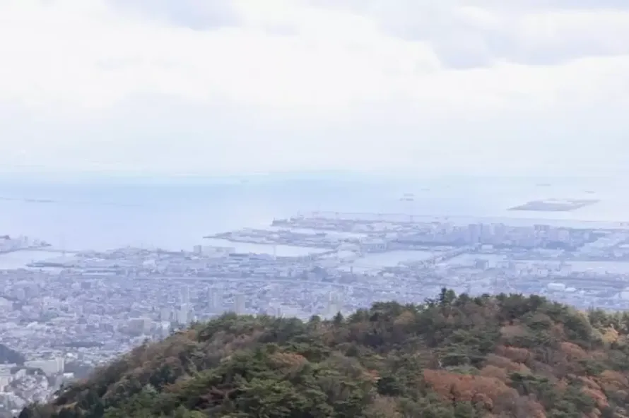 【秋のおすすめ登山】六甲山で紅葉を楽しむ登山ルートを難易度別に紹介