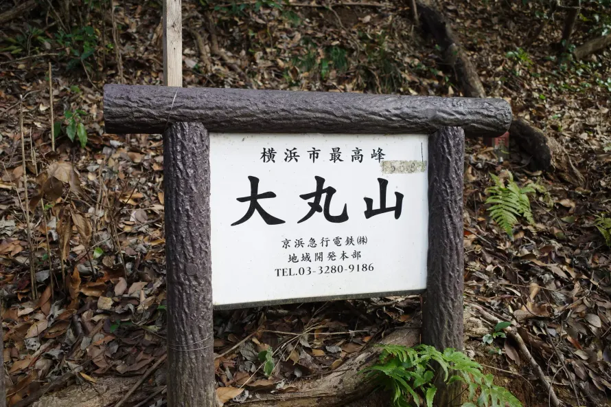 【初心者におすすめ】横浜市でいちばん高い山！大丸山を含む手頃な日帰りハイキングコースの難易度別ルート紹介