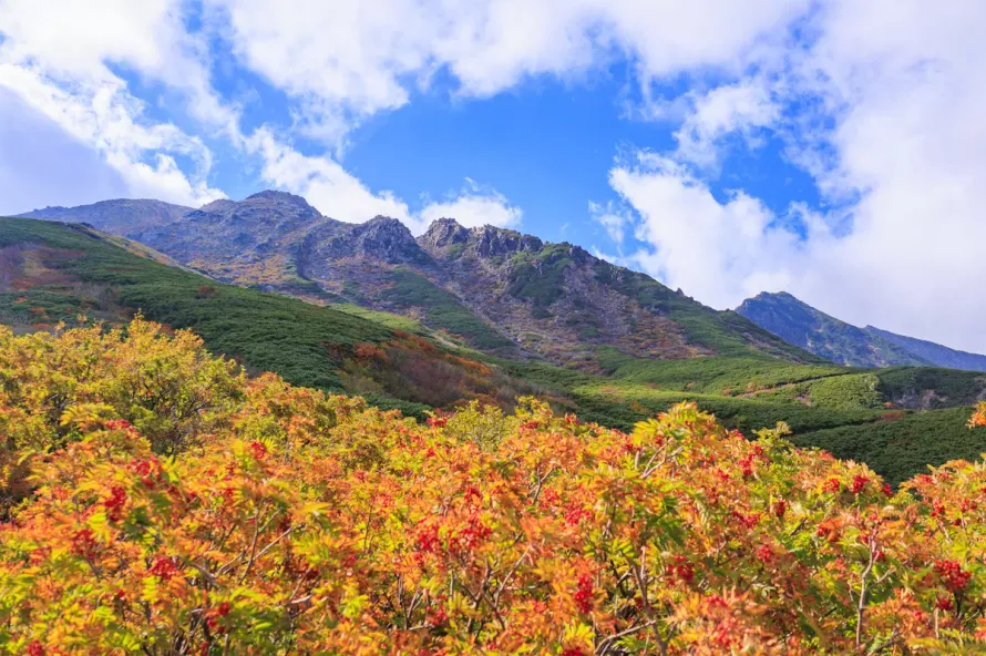 10月におすすめの紅葉登山20選！絶景登山ルート解説【錦秋の装いを見に行こう】