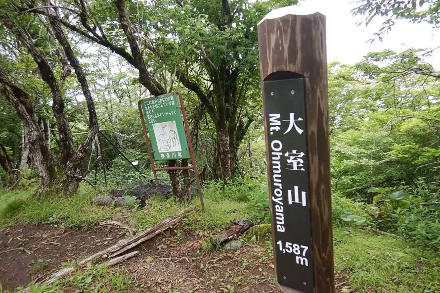 【日帰り登山】大室山登山−初心者から楽しめるルート紹介
