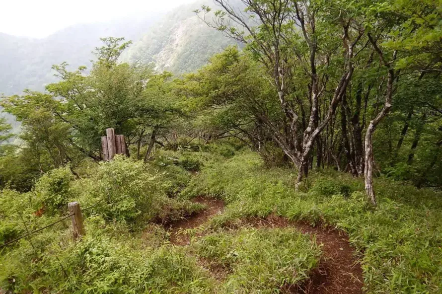【日帰り登山】西丹沢の静寂を歩く加入道山の難易度別ルート紹介