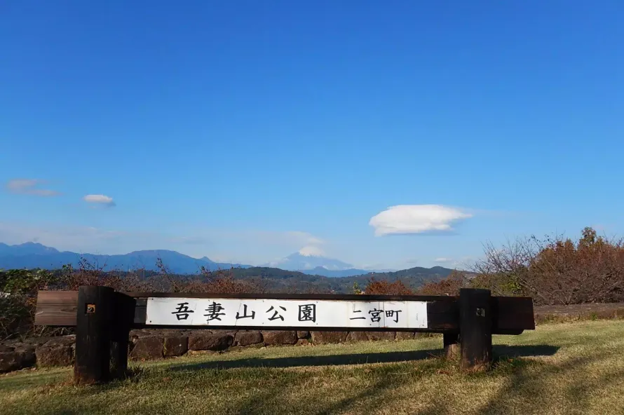 短時間で登れる山【関東甲信越版】-気軽なのに充実した5つの山頂をご紹介
