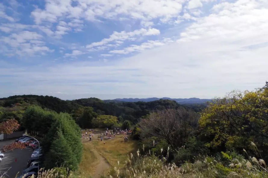 【日帰り登山】大平山登山−初心者から楽しめるルート紹介