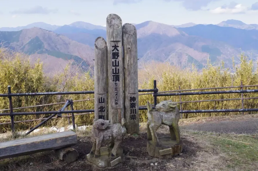 【日帰り登山】丹沢 大野山登山-初心者も楽しめるルート紹介
