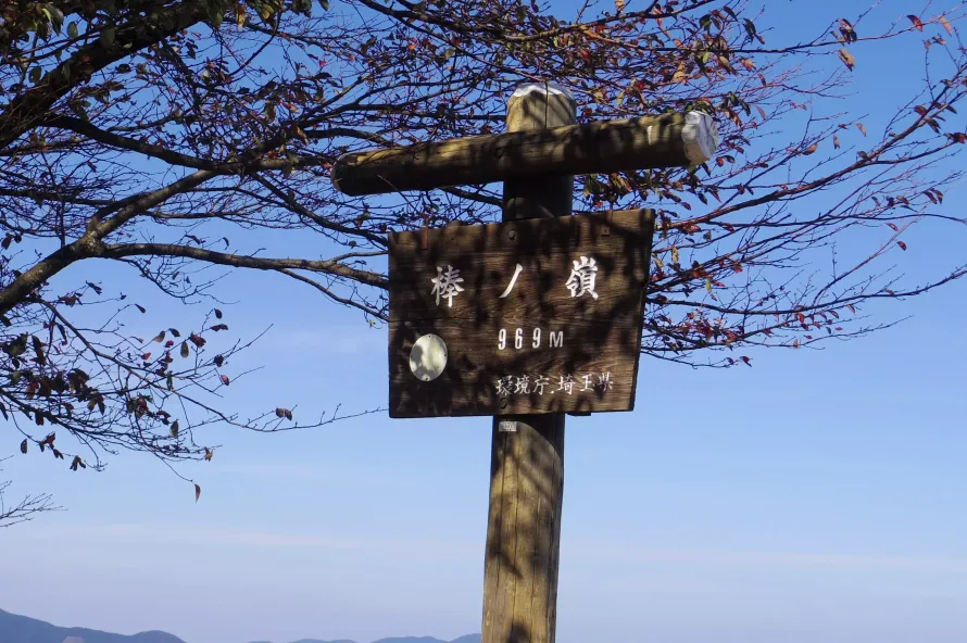 【日帰り登山】棒ノ折山登山−初心者から楽しめるルート紹介
