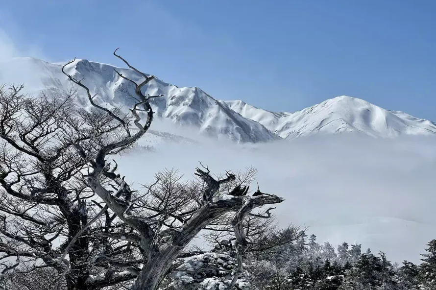 【#山旅フォト】冬山登山限定の絶景・おすすめの山