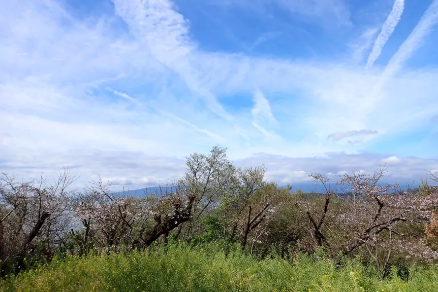 登山シーズン到来！4月の春山を楽しめる各地の山をご紹介
