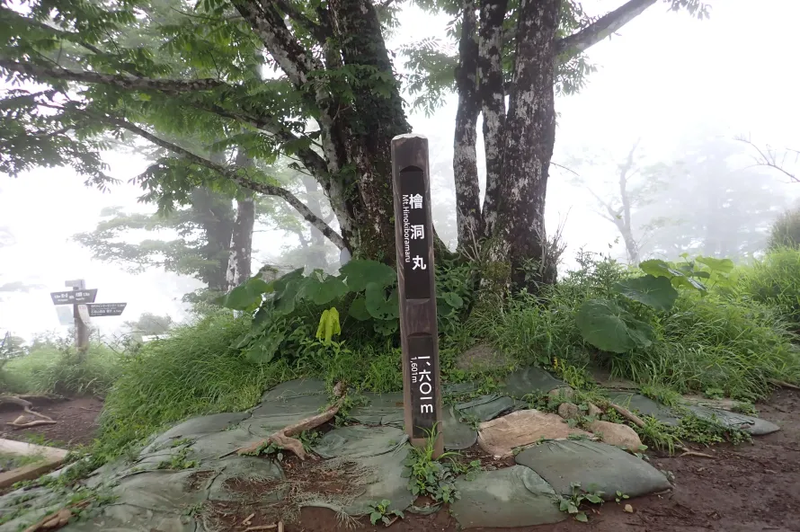 【日帰り登山】檜洞丸登山−初心者から楽しめる難易度別ルート紹介