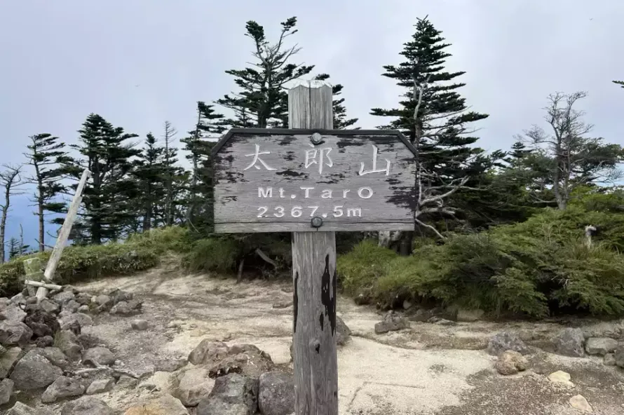 【日帰り登山】静寂の山旅は日光の太郎山へ｜難易度別ルート＆登山口や各種情報をご紹介