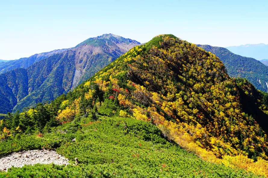 双児山 | 難易度別の定番ルート！甲斐駒ヶ岳の森が登山口♪