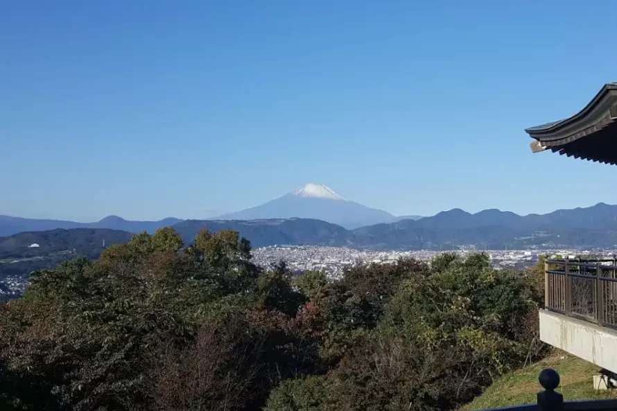【日帰り登山】弘法山登山-初心者におすすめルート紹介