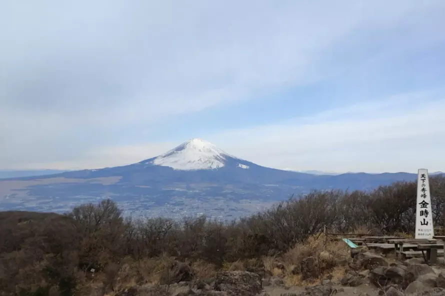 【初心者におすすめ】金時山登山・難易度-通行止め情報と最短ルート