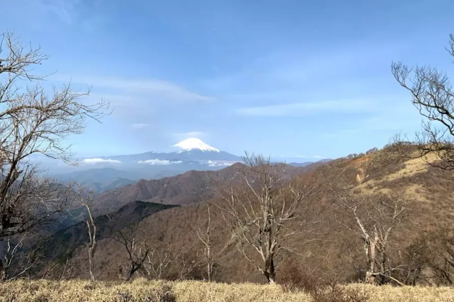 【日帰り・山小屋泊】丹沢山登山-初心者から楽しめる難易度別ルート紹介