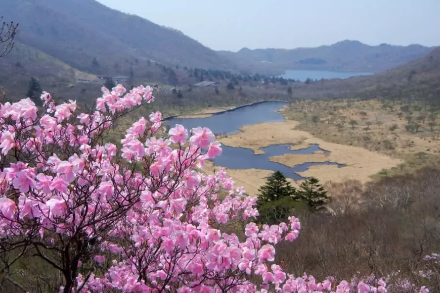 【日帰り登山】赤城山-様々な登山プランを考えられる魅力的な山