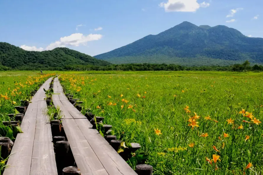 尾瀬ハイキングの魅力-周辺の山々と植物