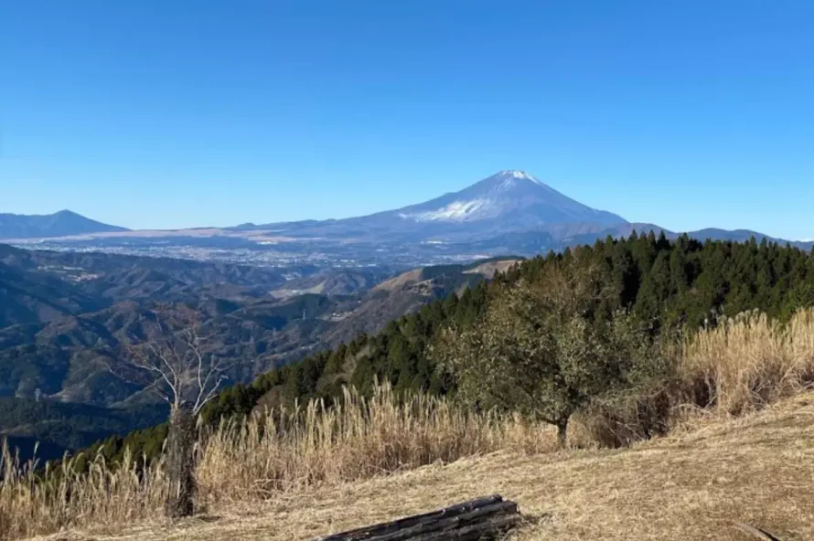 【東京近郊トレイルランコース】地元民が愛する古道を満喫！高松山からシダンゴ山