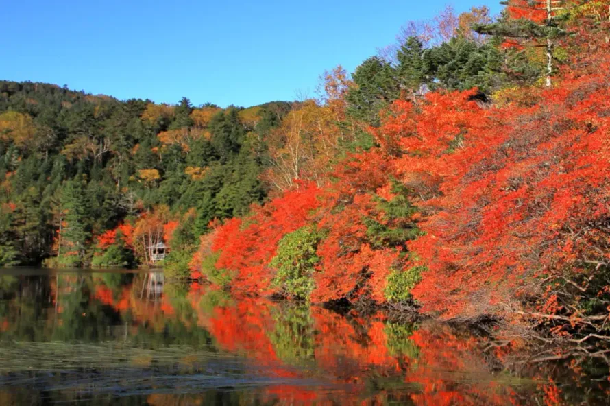 八ヶ岳の紅葉登山-おすすめの山と登山コース難易度・絶景スポット