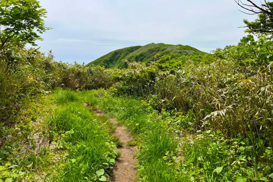 能郷白山｜初心者も楽しめる360度パノラマ展望！難易度別登山コース紹介