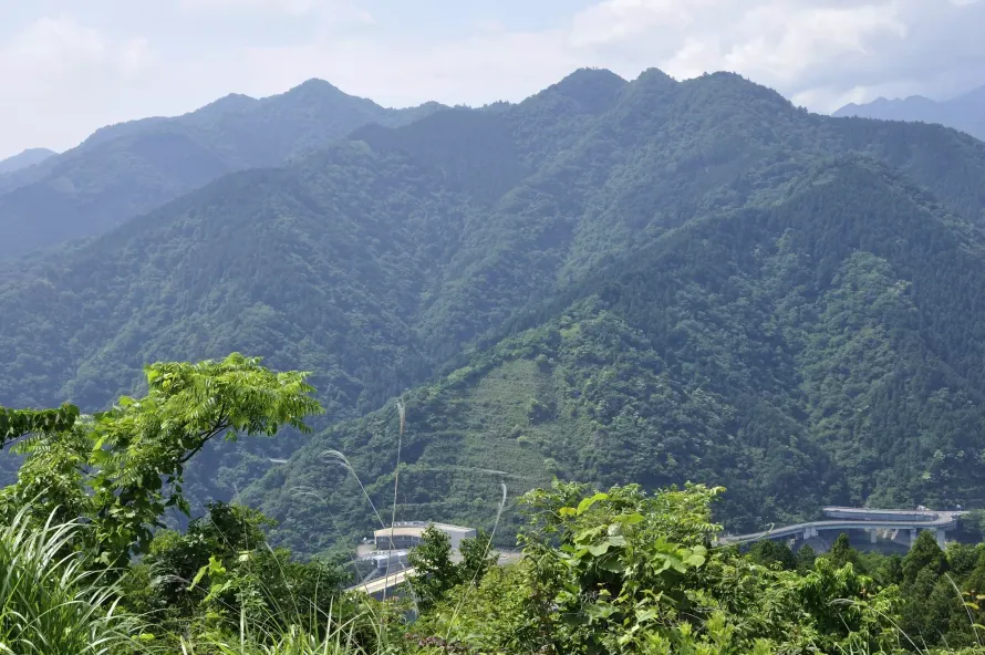 【日帰り登山】宮ケ瀬湖の絶景が楽しめる仏果山ハイキングの難易度別ルート紹介