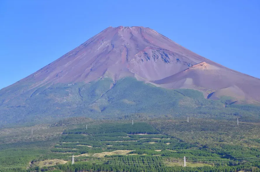 目の前に迫る富士山に圧巻！日帰り登山が可能な越前岳（愛鷹山）登山の難易度別登山コース