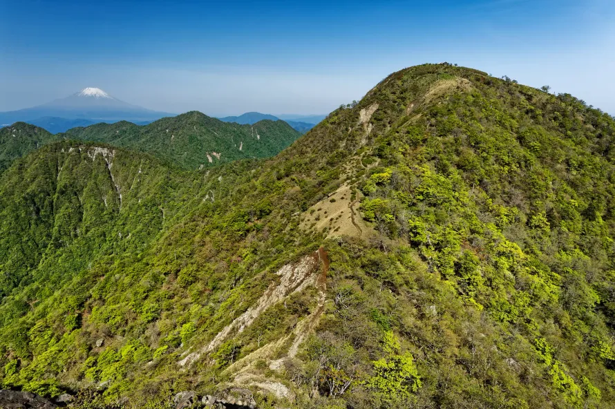 【丹沢最高峰登山】神奈川県でいちばん高い山！蛭ヶ岳の難易度別ルート紹介