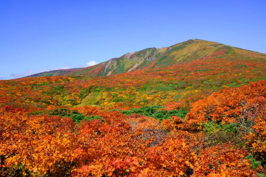 【日帰り登山】栗駒山登山‐初心者から楽しめる難易度別ルート紹介