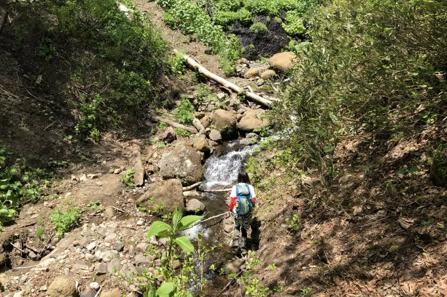 山で遭難したら登れ！理由とあわせて道迷い時の対処法をご紹介