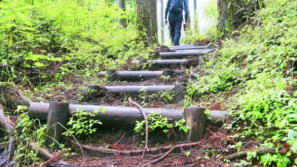 【2026年】登山レインウェアおすすめ12選!失敗しない選び方と山行スタイル別の最適解