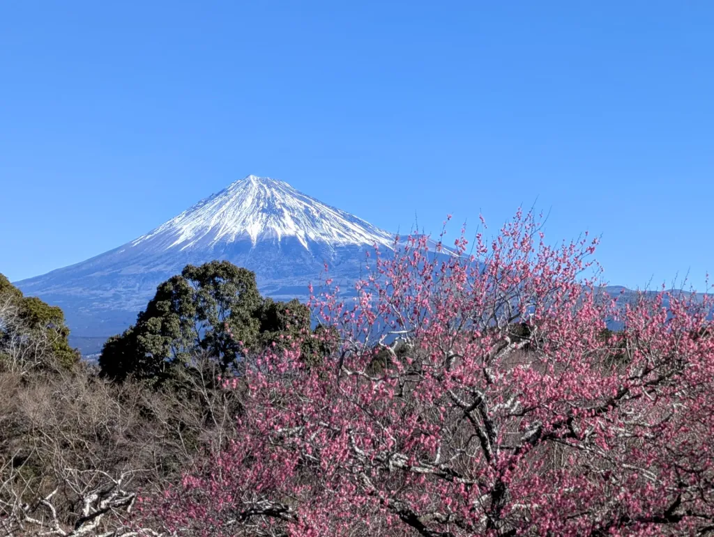 【2025年】春登山にちょうどいい！ウインドブレーカーの選び方と厳選モデル8選！