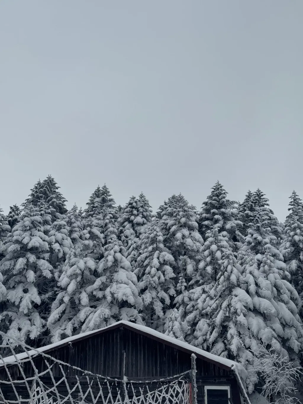 北横岳 / 年末の帰省