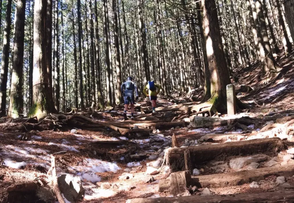 標高1000m〜2000mの春・秋山登山の服装とレイヤリング