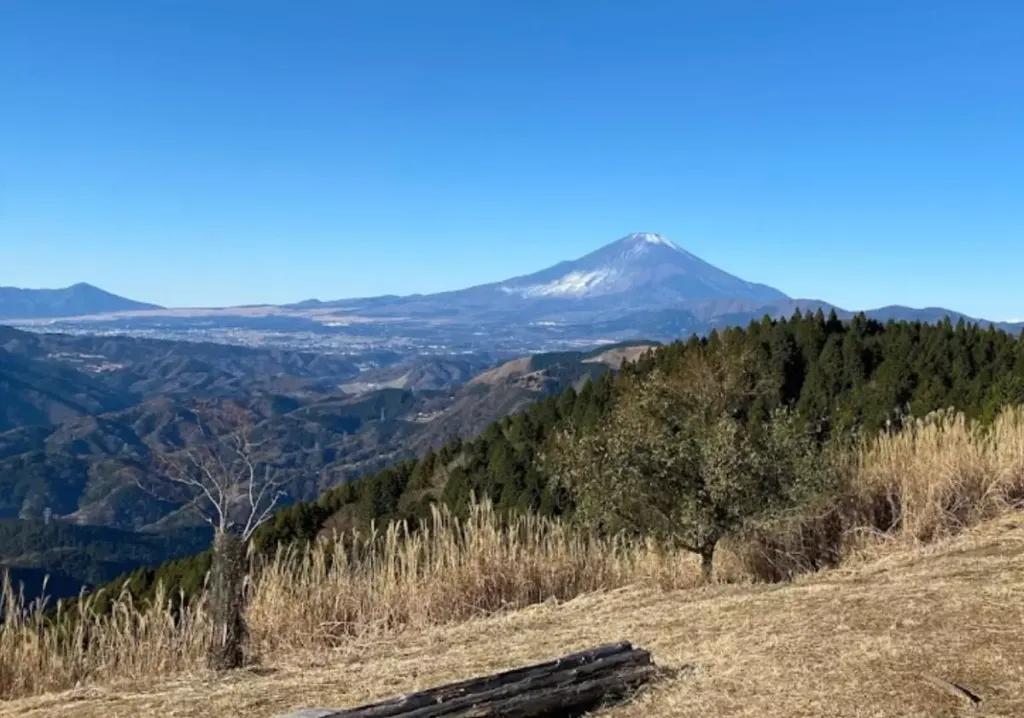 高松山