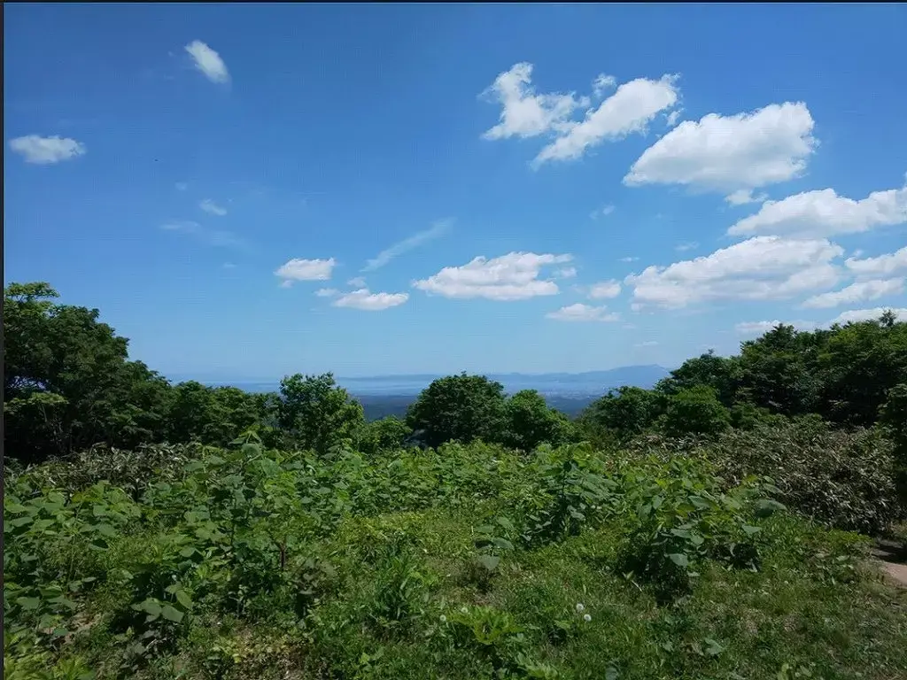 【梵珠山登山】穏やかな森林浴と多彩な動植物に出会える山