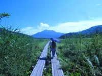 【2026年】登山に日傘？！使える場面・NGシーン・失敗しない選び方とおすすめ7選