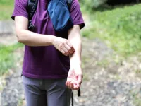 【2026年】登山の虫除け対策完全ガイド｜ブヨ・アブ・マダニから身を守る対策グッズ10選