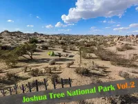『ジョシュア・ツリー国立公園』キャンプの楽しみ方と上手な選び方