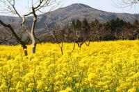 【茨城県】おすすめの低山12選！初心者に最適な日帰りできる山をご紹介
