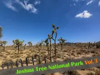 『ジョシュア・ツリー国立公園』見ておきたい絶景ポイント