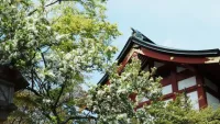 “登る”だけじゃない。御岳山で出会う、歴史と神話の山歩き