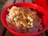 簡単山ごはんレシピ-なんちゃって天丼
