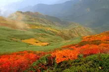 仙ノ倉山