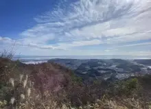 南嶺