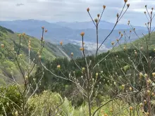大石岳