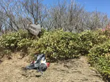 子持権現山