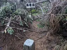 易老岳