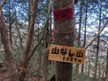 山なし山