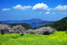 二丈岳